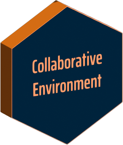 Collaborative Environment